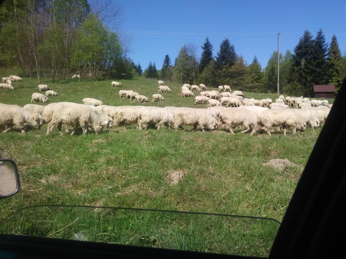 Agroturystyka Boguska Lejlighed Zawoja Eksteriør billede